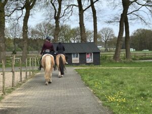 Vertrek vanaf Heidepaleis